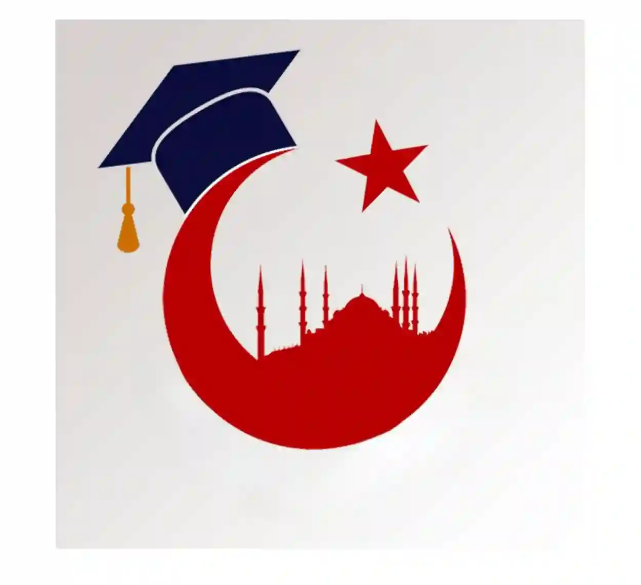 الدكتوراه في تركيا: طريقك نحو التميز الأكاديمي بتكاليف مدروسة